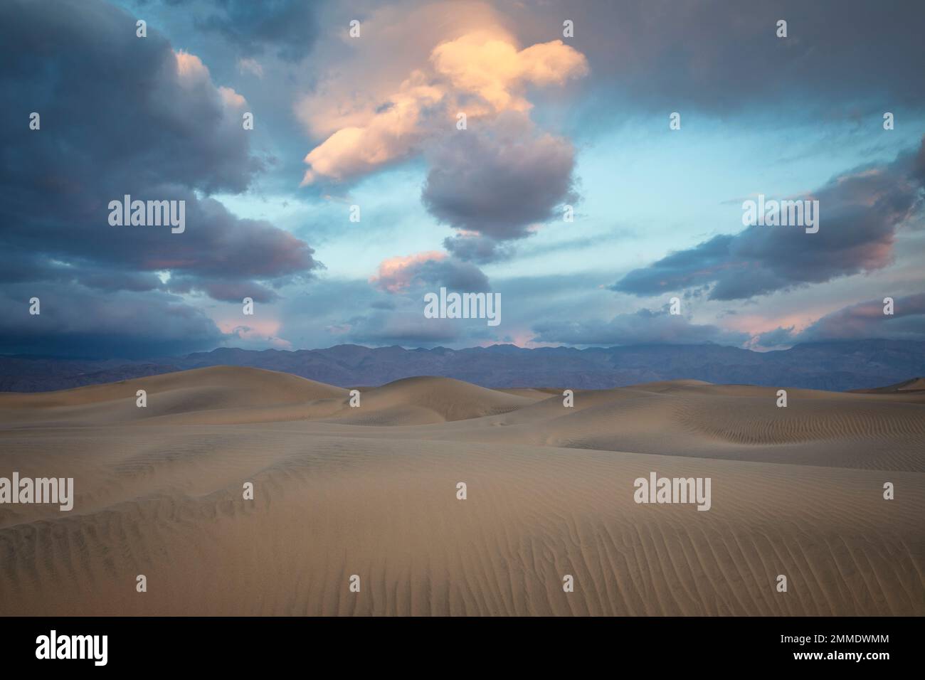 Les dunes de sable de Mesquite Flat commencent à briller lorsque le soleil se lève au-dessus de la vallée de la mort, en Californie. Banque D'Images