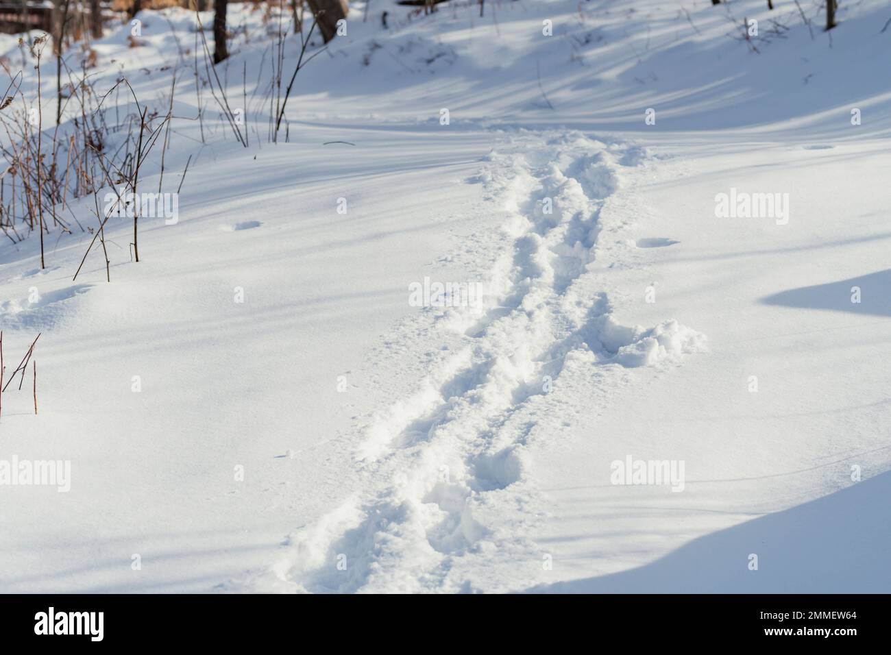 promenade hivernale dans la neige temps froid activités les gens à l'extérieur sentier pédestre dans la neige Banque D'Images