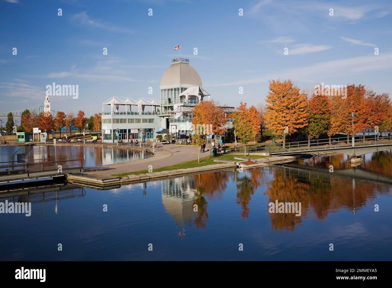 Pavillon et rangée d'érable Acer - érable se reflétant dans le bassin Bonsecours à l'automne, Vieux-Port de Montréal, Québec, Canada. Banque D'Images