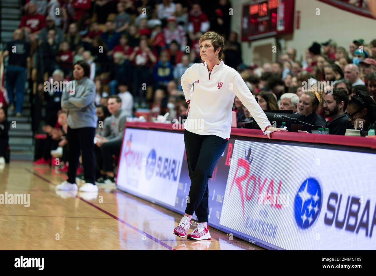 Bloomington, États-Unis. 29th janvier 2023. L'entraîneur de l'Indiana Teri Moren s'entraîne contre Rutgers lors d'un match de basket-ball féminin NCAA au Simon Skjodt Assembly Hall de Bloomington. Indiana bat Rutgers 91-68. Crédit : SOPA Images Limited/Alamy Live News Banque D'Images