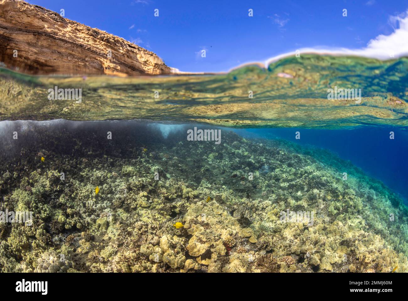 Une scène divisée avec une vague qui se déroule sur un récif de corail peu profond et dur en dessous et l'îlot de cône volcanique de Molokina au-dessus, Hawaï. Il s'agit d'un p marin d'état Banque D'Images