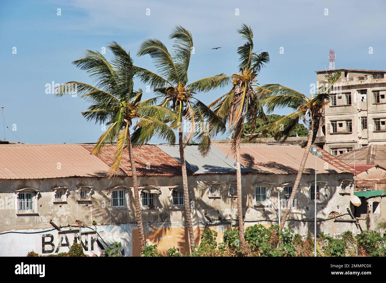 Côte de l'océan Atlantique à Banjul, Gambie, Afrique de l'Ouest Banque D'Images