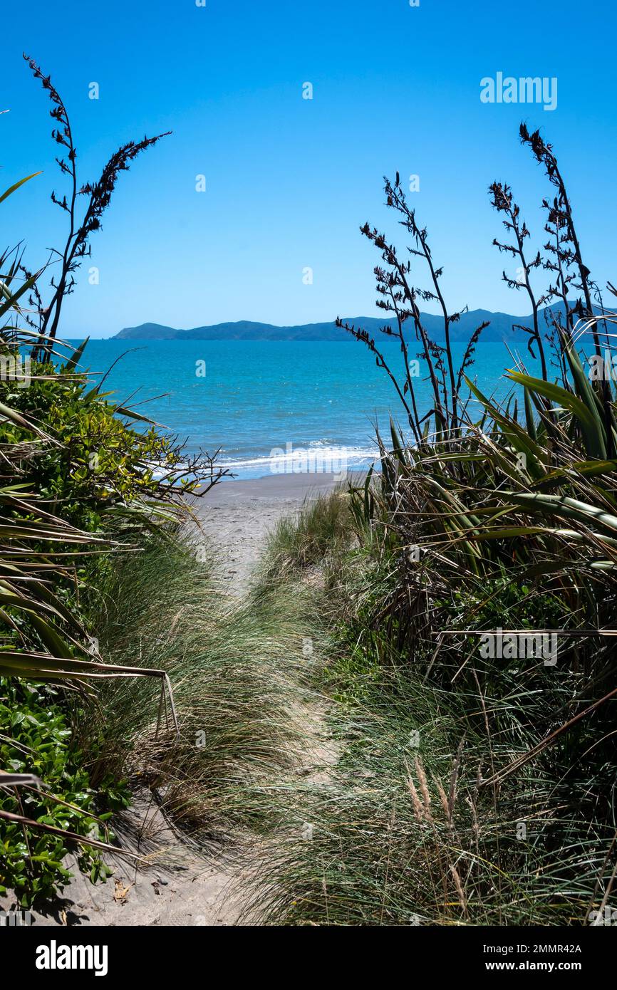 Piste de sable à la plage, à travers les dunes de sable, île de Kapiti à distance, parc Queen Elizabeth, Paekakariki, district de Kapiti, île du Nord, Nouvelle-Zélande Banque D'Images