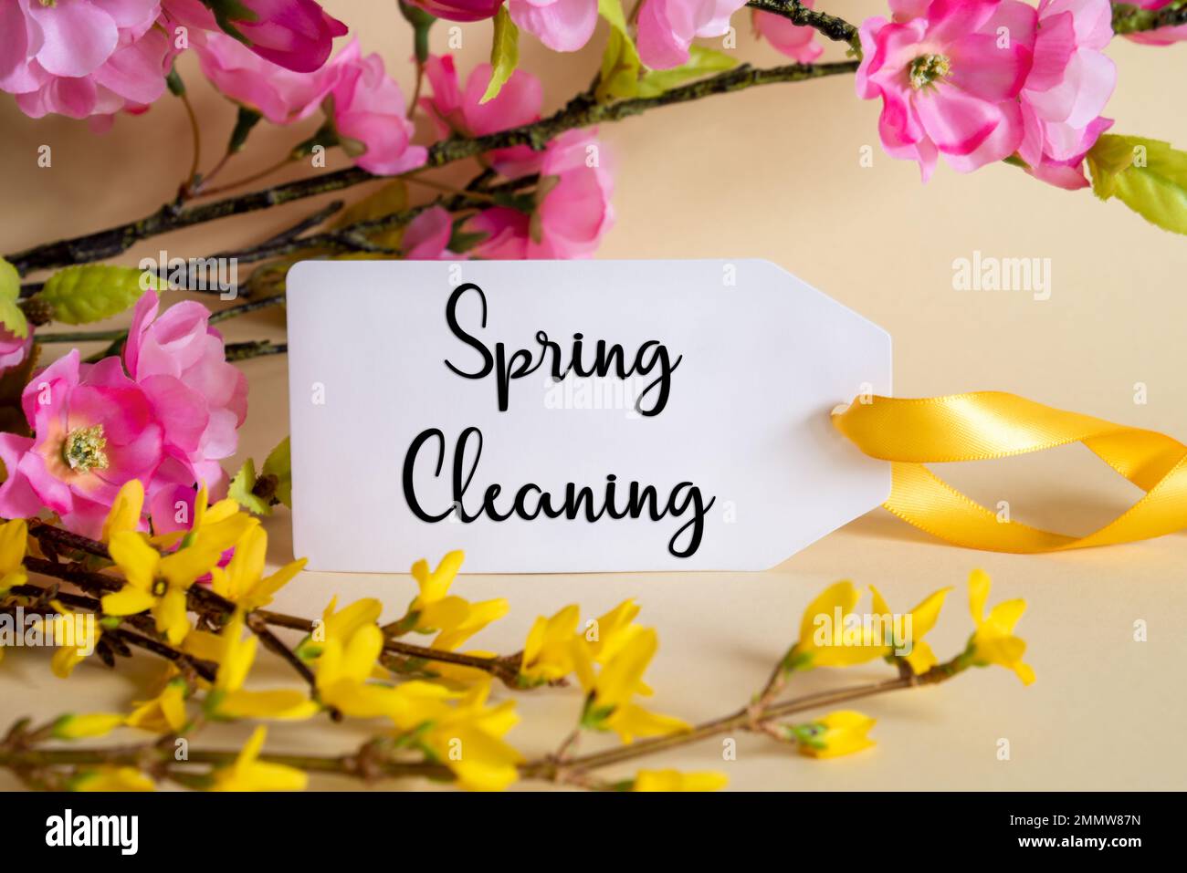 Décoration de printemps, étiquette avec texte anglais nettoyage de printemps  Photo Stock - Alamy