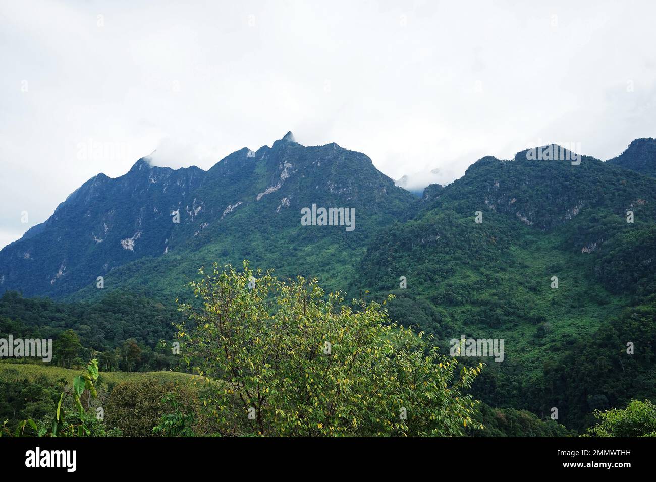 Paysage naturel de montagne verte avec ciel bleu ciel nuageux Banque D'Images