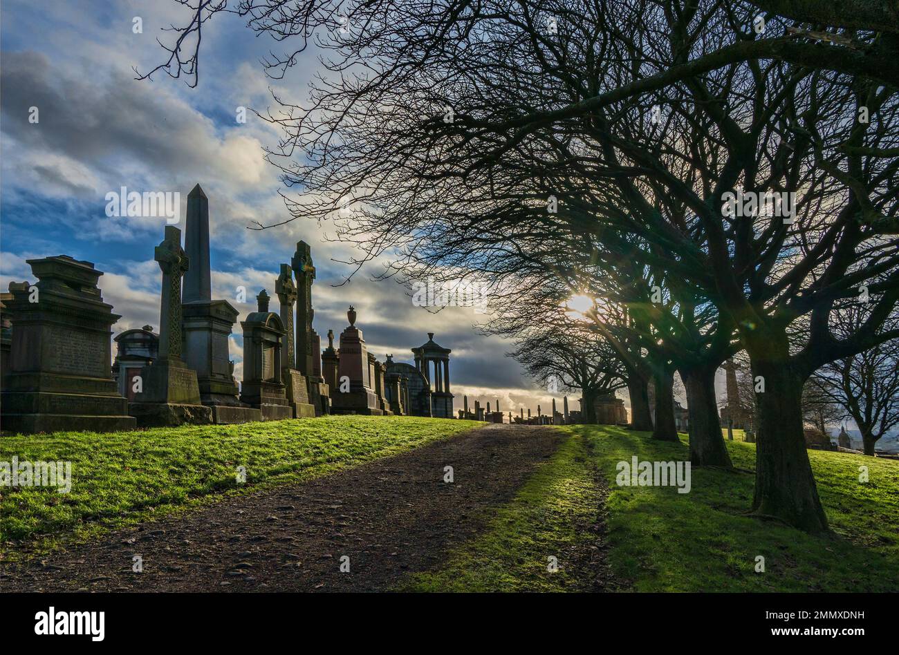 Chemin bordé d'arbres à travers la nécropole de Glasgow, cimetière victorien, Glasgow, Écosse, Royaume-Uni Banque D'Images