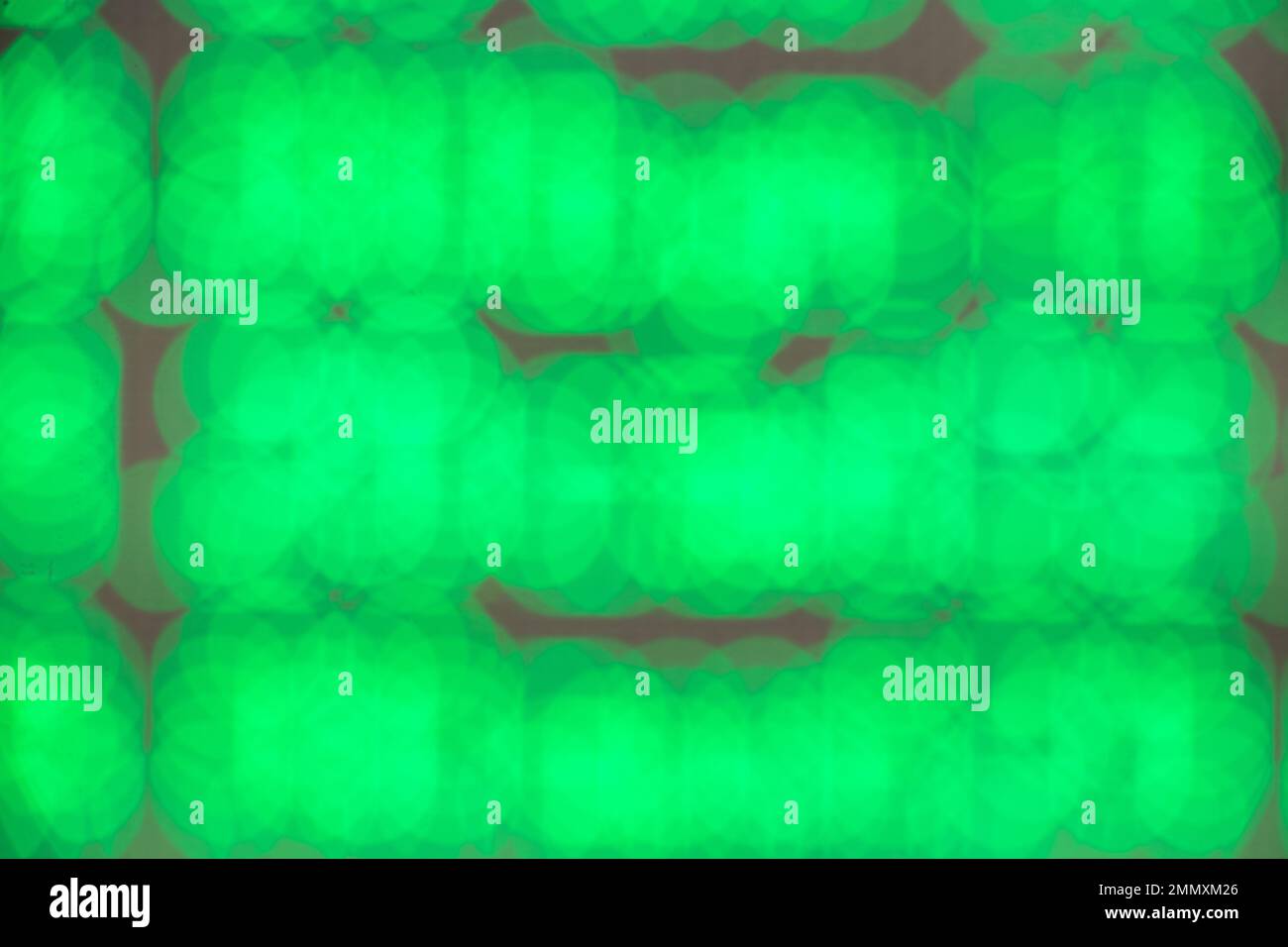 diode en vert en flou flou de flou de flou en arrière-plan, ampoules vertes pour l'arrière-plan, flou de mise au point Banque D'Images