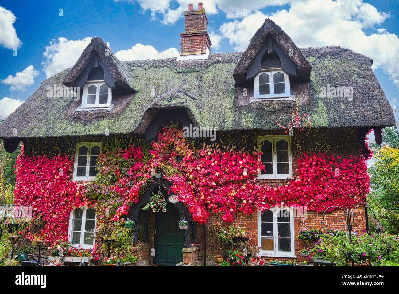 Thatched Cottage, Orfordness, Suffolk Royaume-Uni Banque D'Images