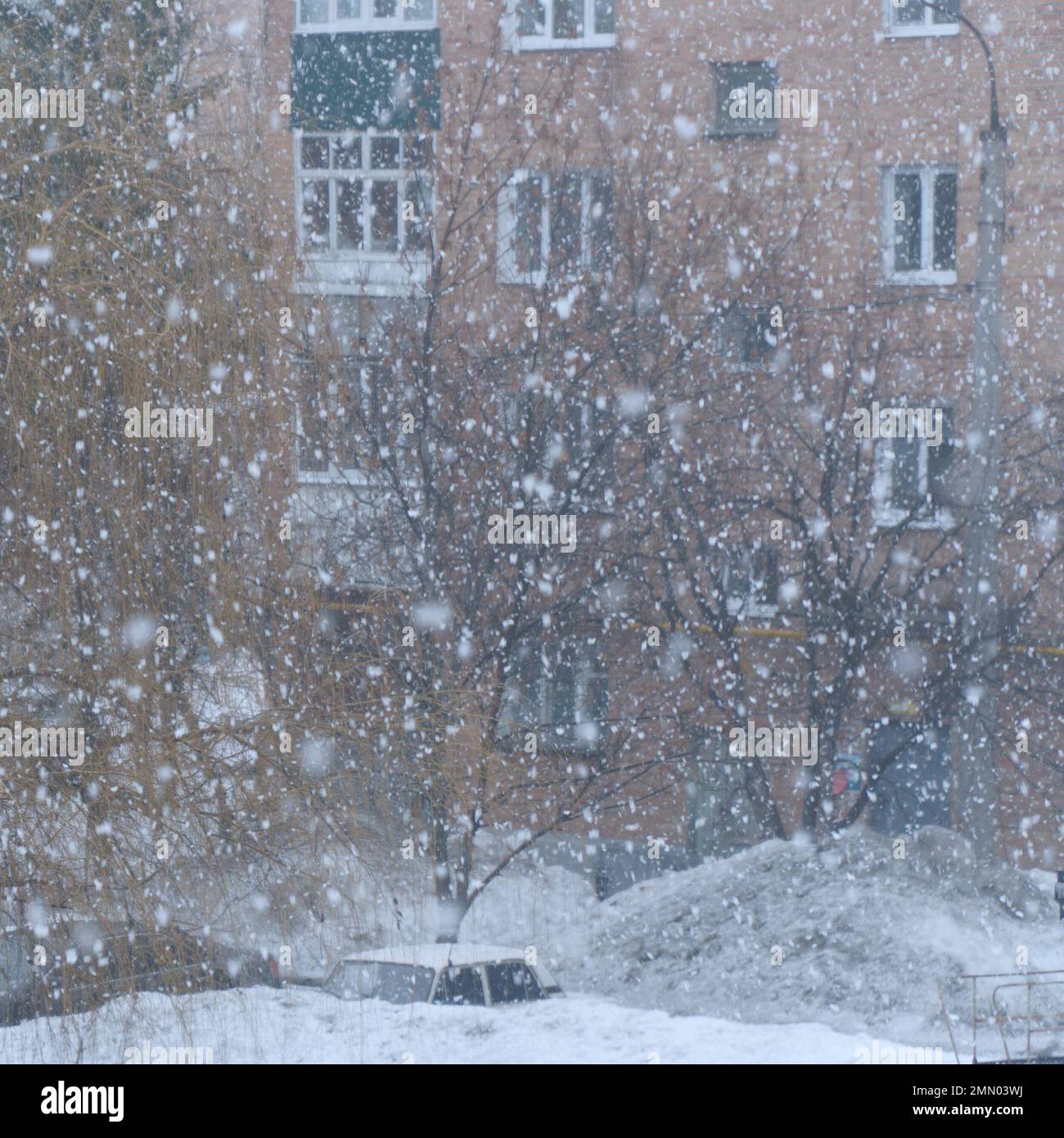 Chutes de neige abondantes devant la maison avec fenêtres. Mise au point douce Banque D'Images