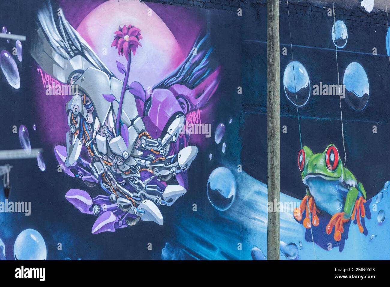 France, Meurthe et Moselle, Nancy, fresque de Valer sur le mur du jardin du lycée de Loritz dans le cadre du projet ADN (Art dans Nancy) et Graff sur le mur (Graff sur le mur) développé par le lycée de Loritz situé rue des Thiercelins Banque D'Images