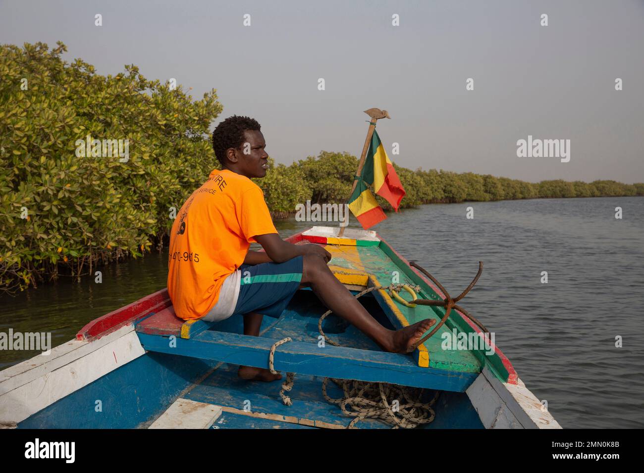 Sénégal, delta de Saloum classé au patrimoine mondial par l'UNESCO, jeune garçon dans un T-shirt orange à l'avant d'un canoë décoré du drapeau sénégalais et traversant la rivière au milieu de la mangrove Banque D'Images