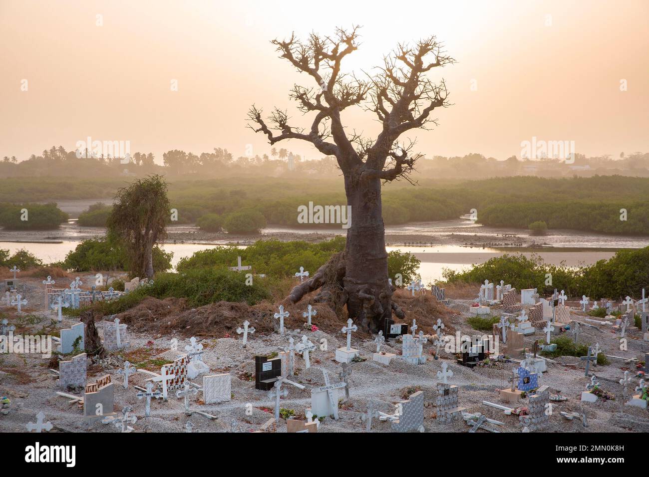 Sénégal, delta de Saloum classé au patrimoine mondial par l'UNESCO, Fadiouth ou île de coquillages, baobab planté au milieu du seul cimetière au monde accueillant des tombes chrétiennes et musulmanes surplombant la rivière et la mangrove Banque D'Images