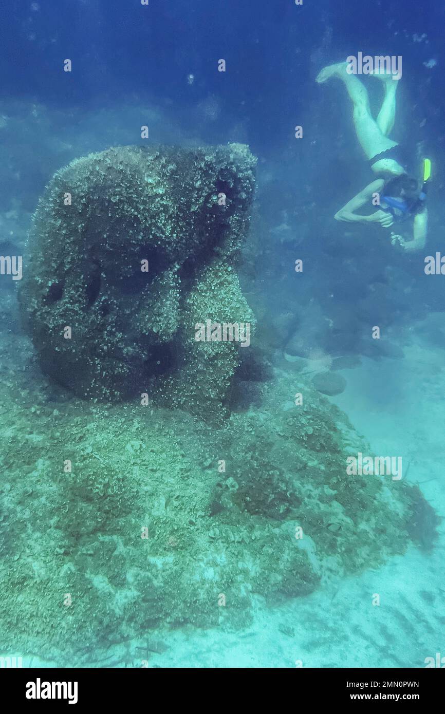France, AlpesMaritimes, Cannes, Iles Lerins, Ile SainteMarguerite, Plongée en apnée dans l