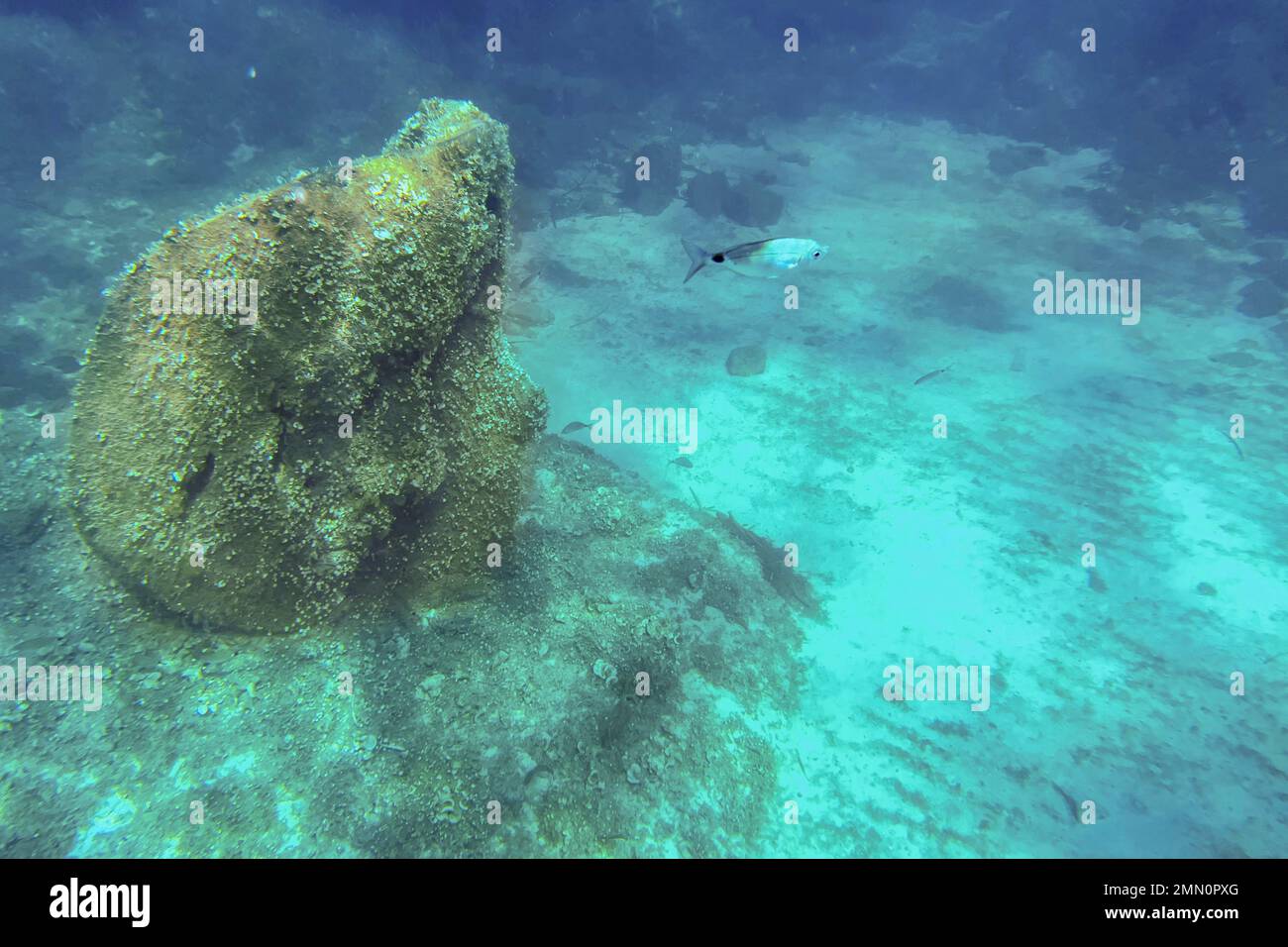 France, Alpes-Maritimes, Cannes, Iles Lerins, Ile Sainte-Marguerite, L'écomusée sous-marin composé de statues monumentales de l'artiste Jason decaires Taylor, moulé selon les visages de 6 habitants de Cannes et immergé à une distance allant de 84 à 132 mètres de la rive pour une profondeur de 3 à 5 mètres Banque D'Images