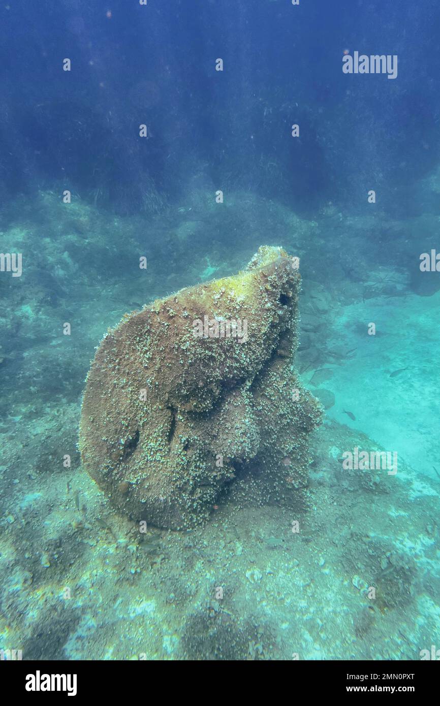 France, Alpes-Maritimes, Cannes, Iles Lerins, Ile Sainte-Marguerite, L'écomusée sous-marin composé de statues monumentales de l'artiste Jason decaires Taylor, moulé selon les visages de 6 habitants de Cannes et immergé à une distance allant de 84 à 132 mètres de la rive pour une profondeur de 3 à 5 mètres Banque D'Images