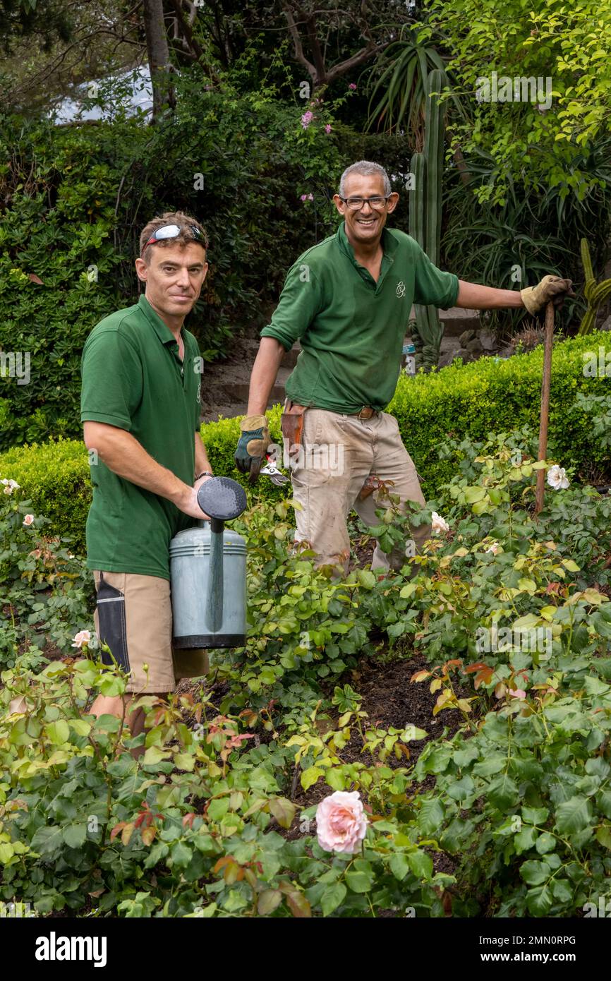 France, Alpes-Maritimes, Saint Jean Cap Ferrat, Villa et Jardins Ephrussi de Rothschild, deux jardiniers travaillant dans les roses Banque D'Images