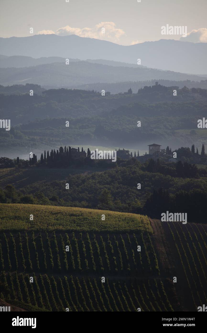 Collines ondoyantes près de San Gimignano, Toscane, Italie. Banque D'Images