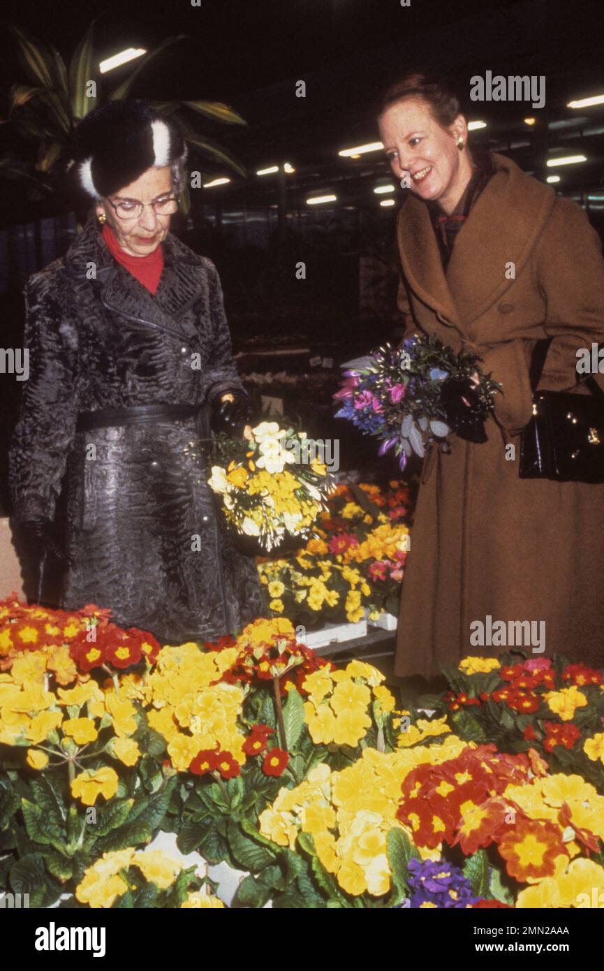 LA REINE MARGRETHE II du Danemark avec sa mère la reine Ingrid au marché des légumes et des fleurs de Copenhague Banque D'Images