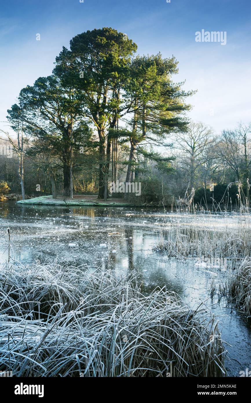 Le lac ornemental gelé sur Southampton Common en hiver Banque D'Images