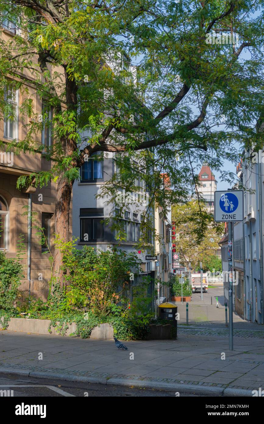 Zone libre de circulation dans le vieux quartier de la ville près de Bohnenviertel, Jakobstrasse, Stuttgart, Bade-Wurtemberg, Allemagne du Sud Banque D'Images