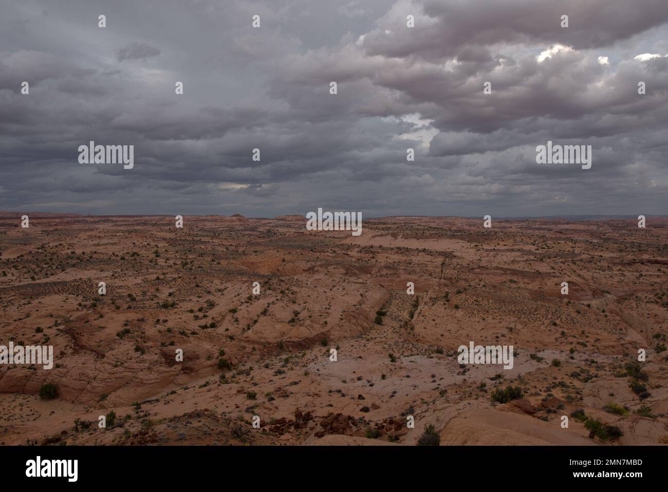 Vue sur la vallée de Dry Fork dans la zone d'étude de Scorpion Wilderness, monument national Escalante-Grand Staircase Banque D'Images