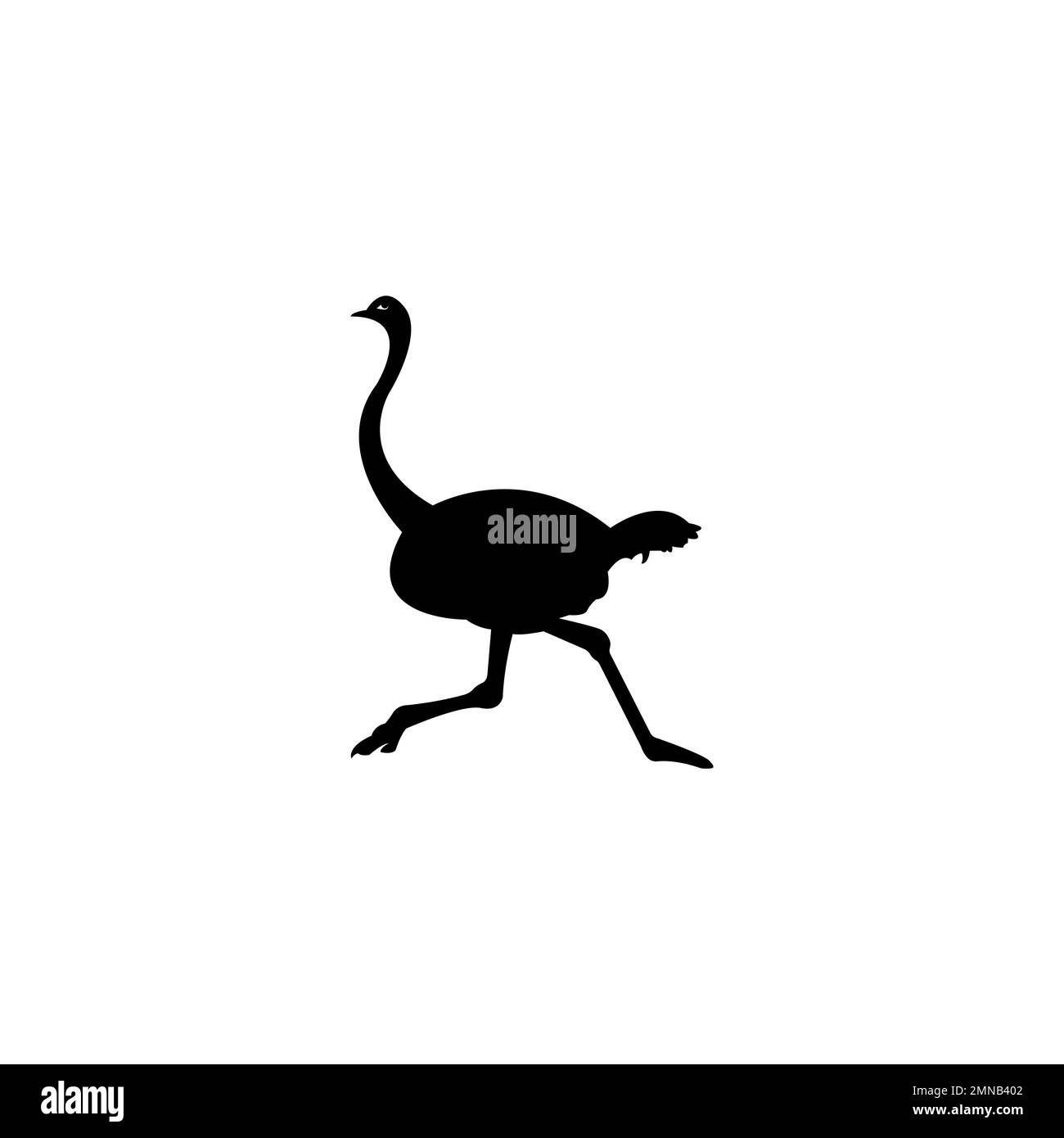 illustration vectorielle d'autruche conception simple Banque D'Images