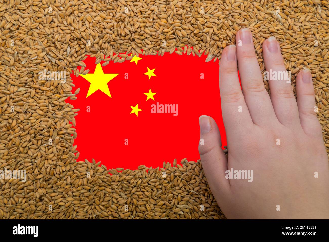 Main de femme sur un cadre rectangulaire de grains mûrs de blé sur le fond du drapeau de la Chine. Le plus grand exportateur de grain au monde Banque D'Images