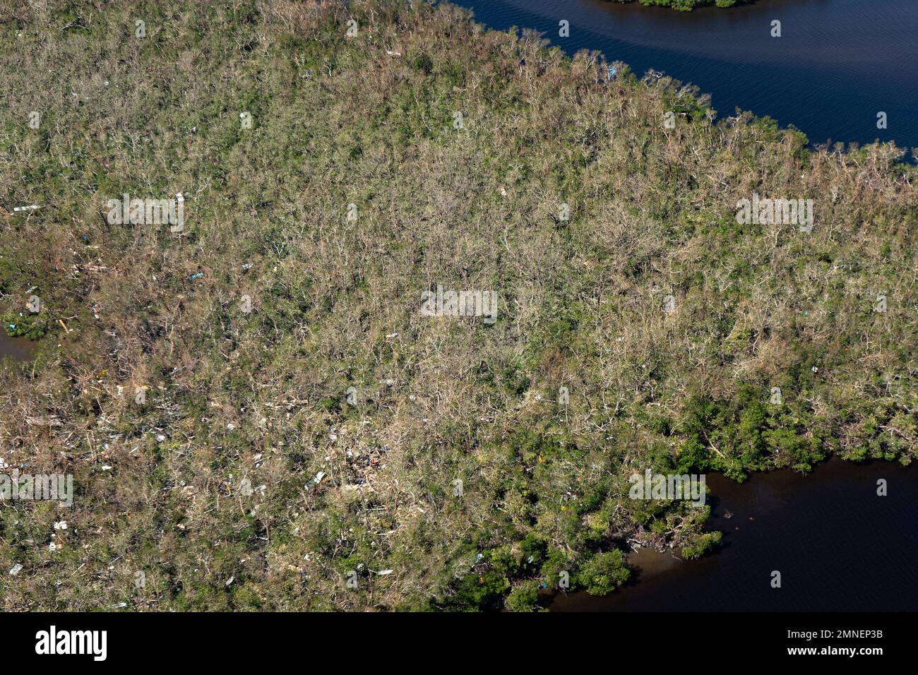 Les îles de mangrove de fort Myers Beach sont battues et remplies de débris de la tempête de catégorie 4, l'ouragan Ian. Les mangroves rouges, noires et blanches sont vitales pour la côte de Floride comme première défense contre les ondes de tempête, l'érosion et la pollution. En outre, la forêt de mangroves offre des aires de nidification et de pépinière pour des centaines d'animaux. Banque D'Images