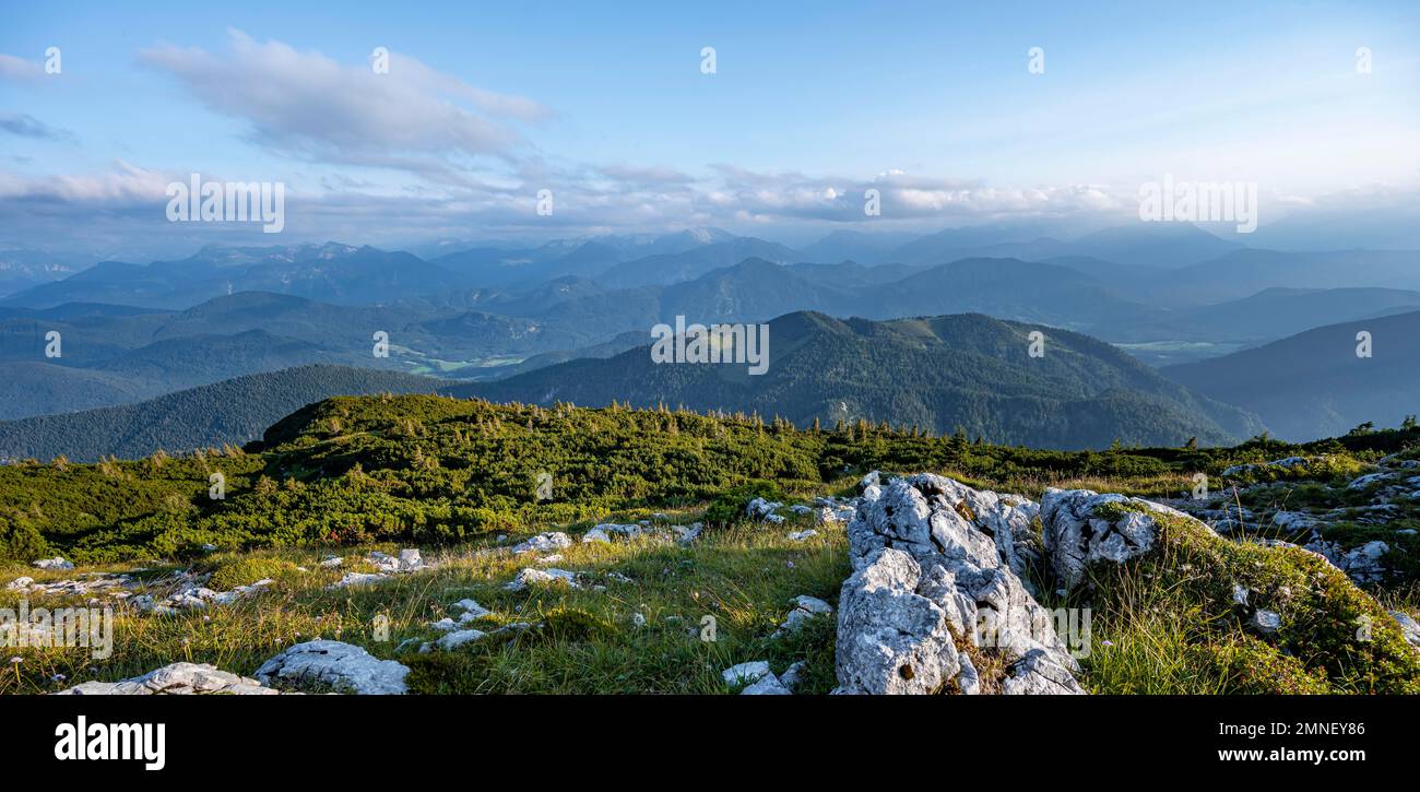 Vue depuis la Benediktenwand, panorama sur la montagne, pré-Alpes bavaroises, Bavière, Allemagne Banque D'Images