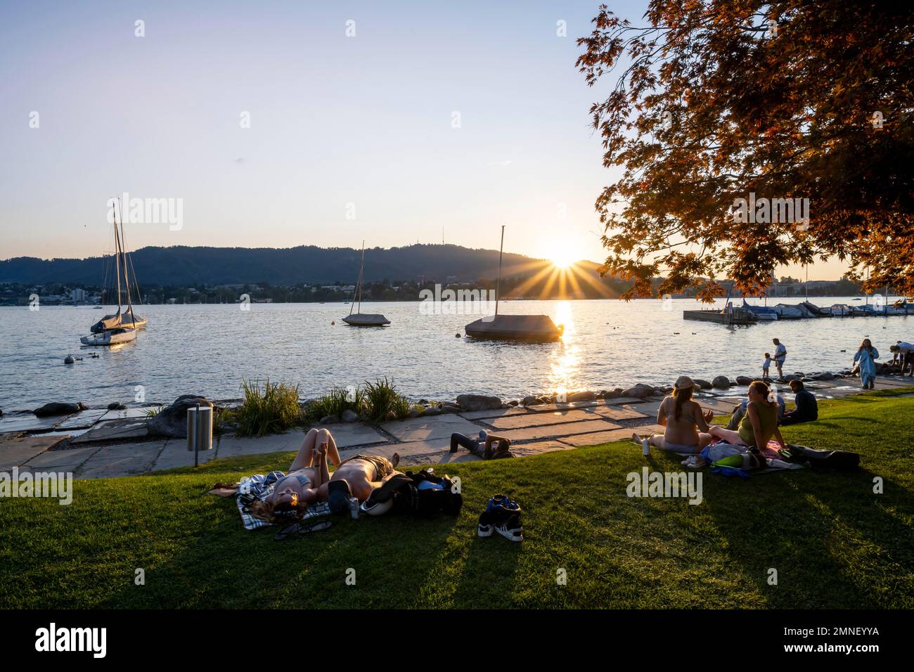 Les personnes se baignant au soleil sur les rives du lac de Zurich, étoile du soleil, soleil du soir, Zurichhorn, Zurich, Suisse Banque D'Images