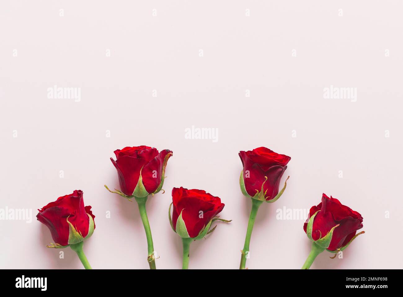 belle composition de roses rouges. Photo haute résolution Banque D'Images