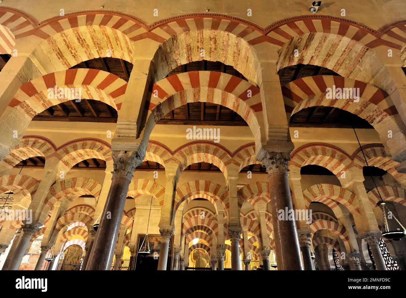 Intérieur, forêt de colonnes, Mezquita, ancienne mosquée, devenue cathédrale, Cordoue, Andalousie, Espagne Banque D'Images