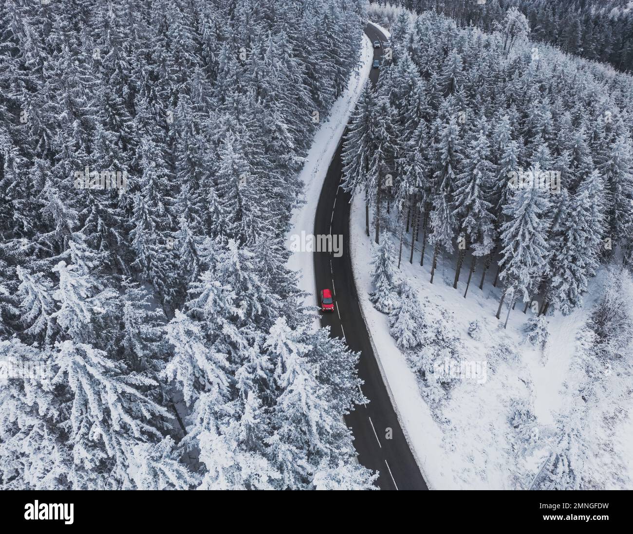 Arbres enneigés dans la forêt et voiture rouge sur la ligne de route dans les montagnes. Paysage d'hiver dans les montagnes. Photo panoramique de drone aérien. Banque D'Images