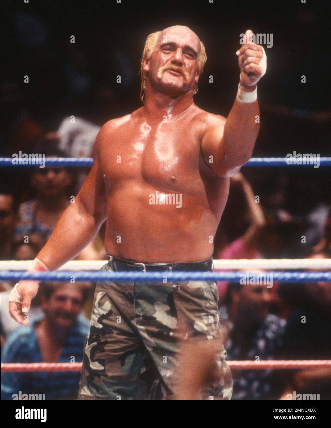 **PHOTO DE FICHIER** Hulk Hogan ne semble pas pouvoir sentir le corps inférieur après la chirurgie du dos. Hulk Hogan 1990 photo de John Barrett/PHOTOlink/MediaPunch Banque D'Images