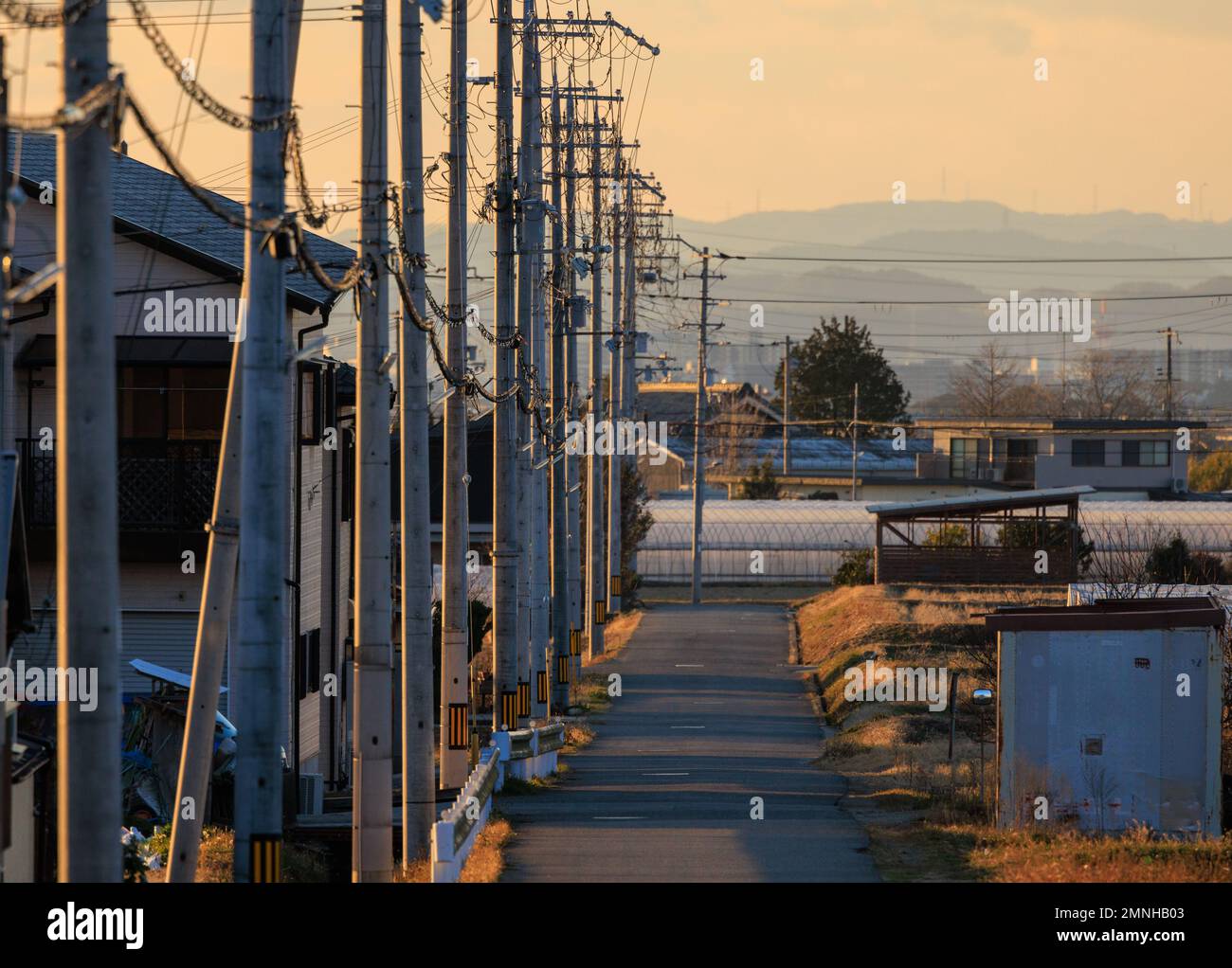 Poteaux électriques et câblage aérien sur une route étroite de quartier au coucher du soleil Banque D'Images