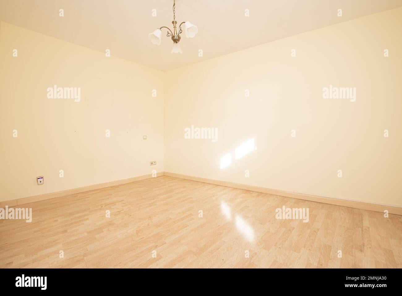 Salon vide avec murs jaune doux, sol en bois flotté clair et plafonnier blanc ombragé Banque D'Images