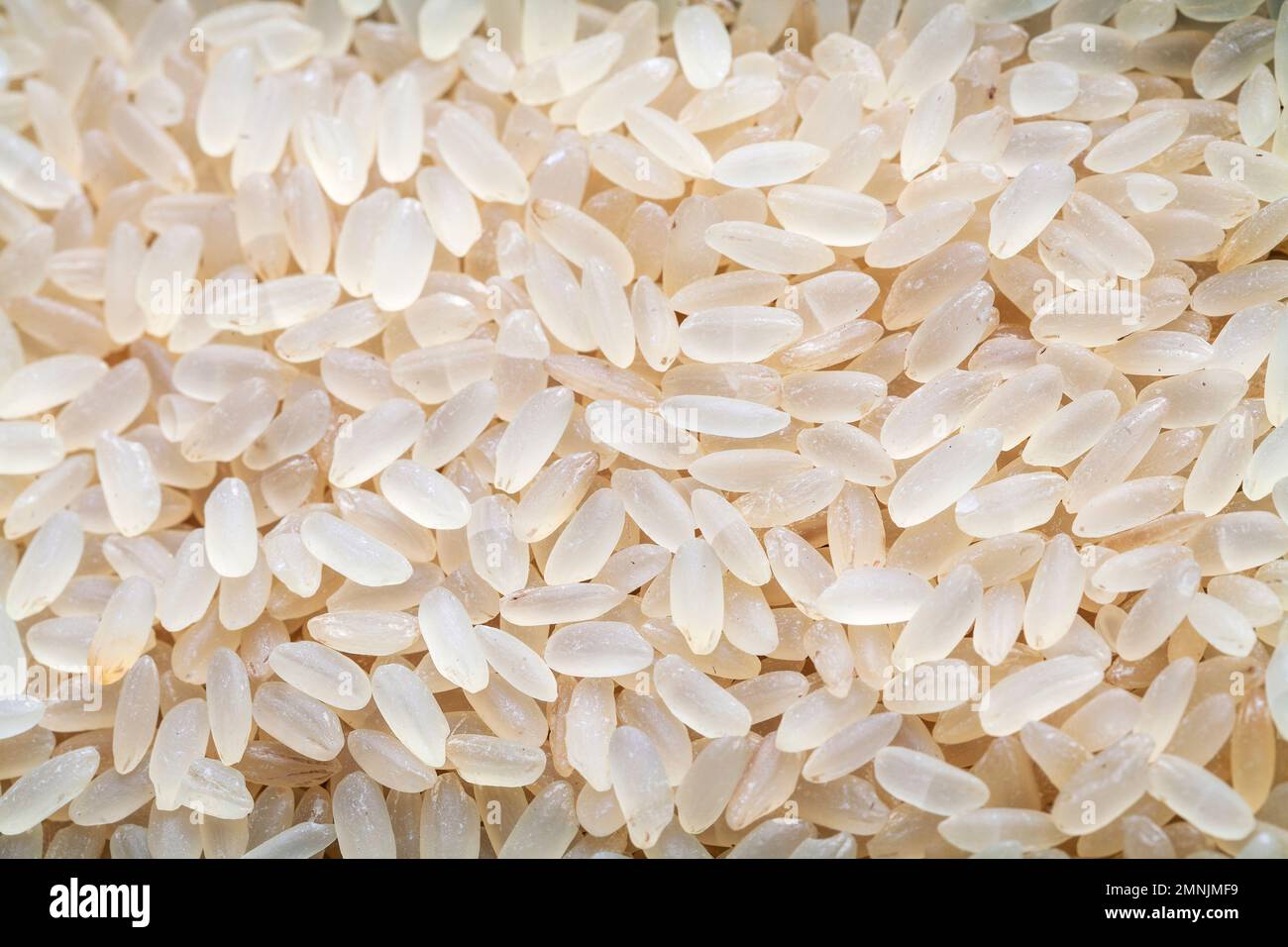 riz brun intégral, utilisé pour risotto.texture et fond Banque D'Images