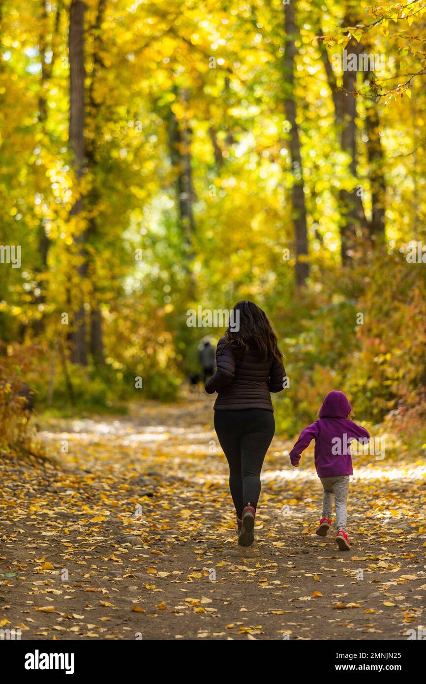 Etats-Unis, Idaho, Hailey, mère et fille (6-7) traversent la forêt Banque D'Images