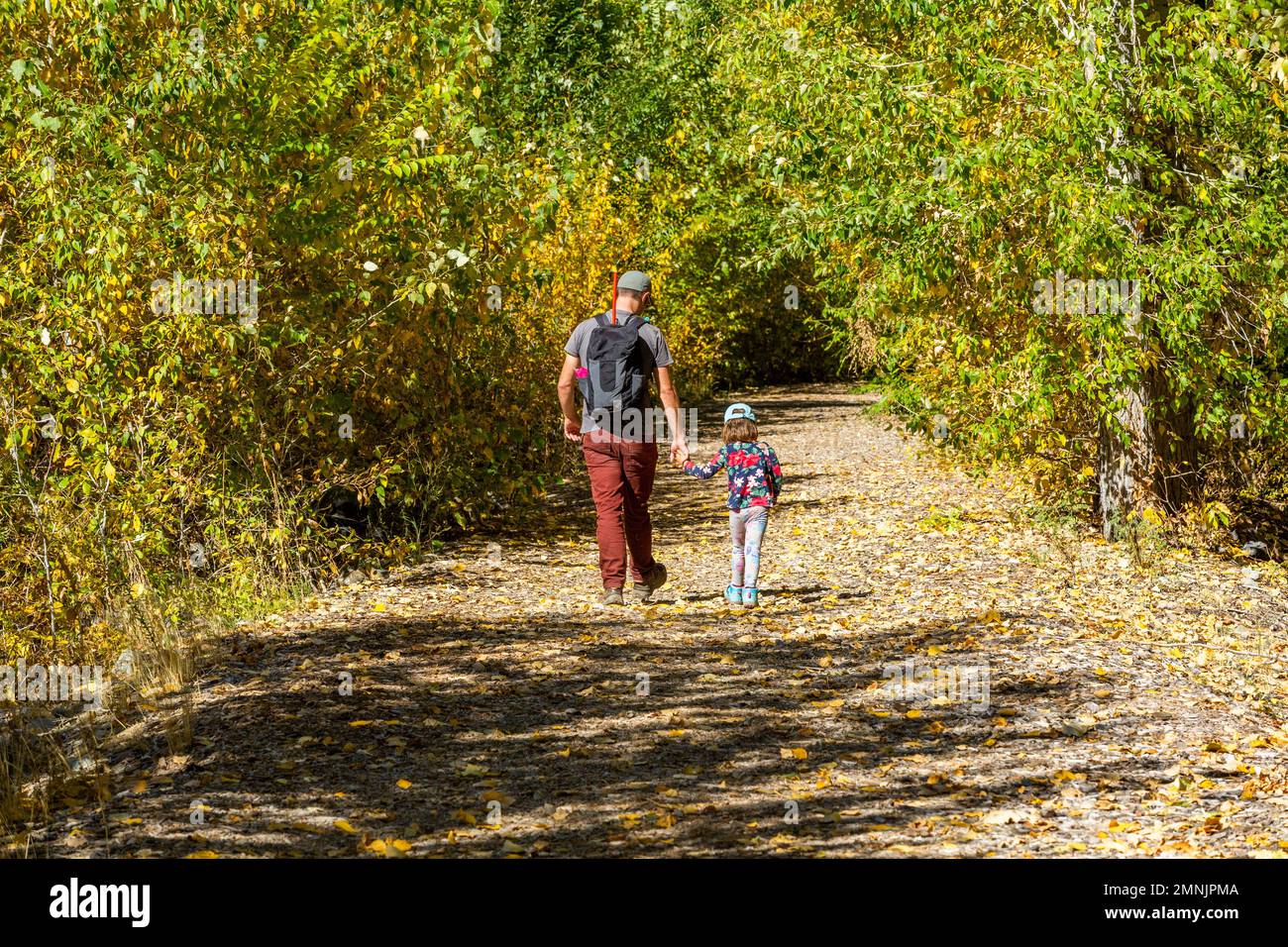 États-Unis, Idaho, Bellevue, Père et fille (6-7) marchez sur le sentier rural à l'automne Banque D'Images