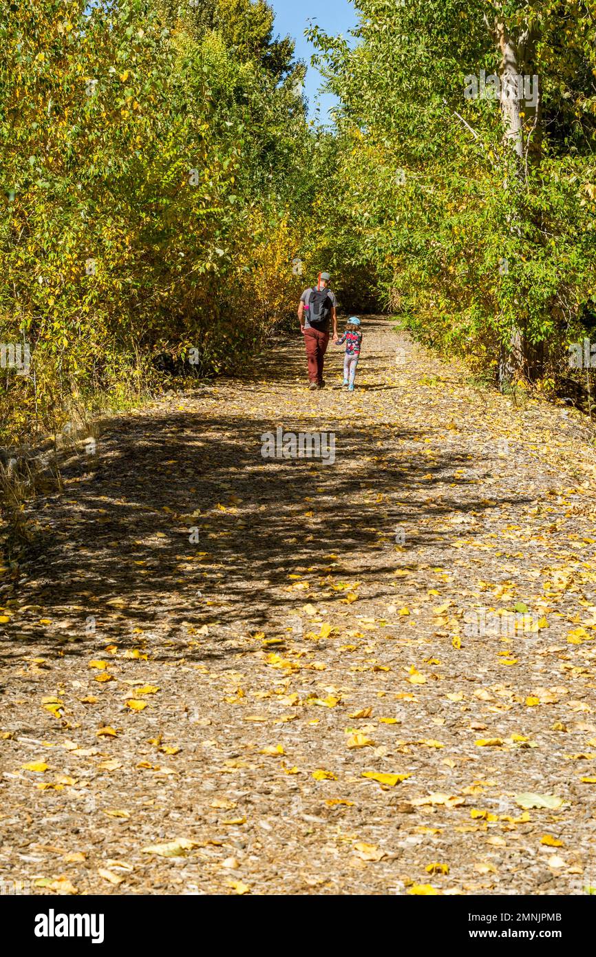 États-Unis, Idaho, Bellevue, Père et fille (6-7) marchez sur le sentier rural à l'automne Banque D'Images