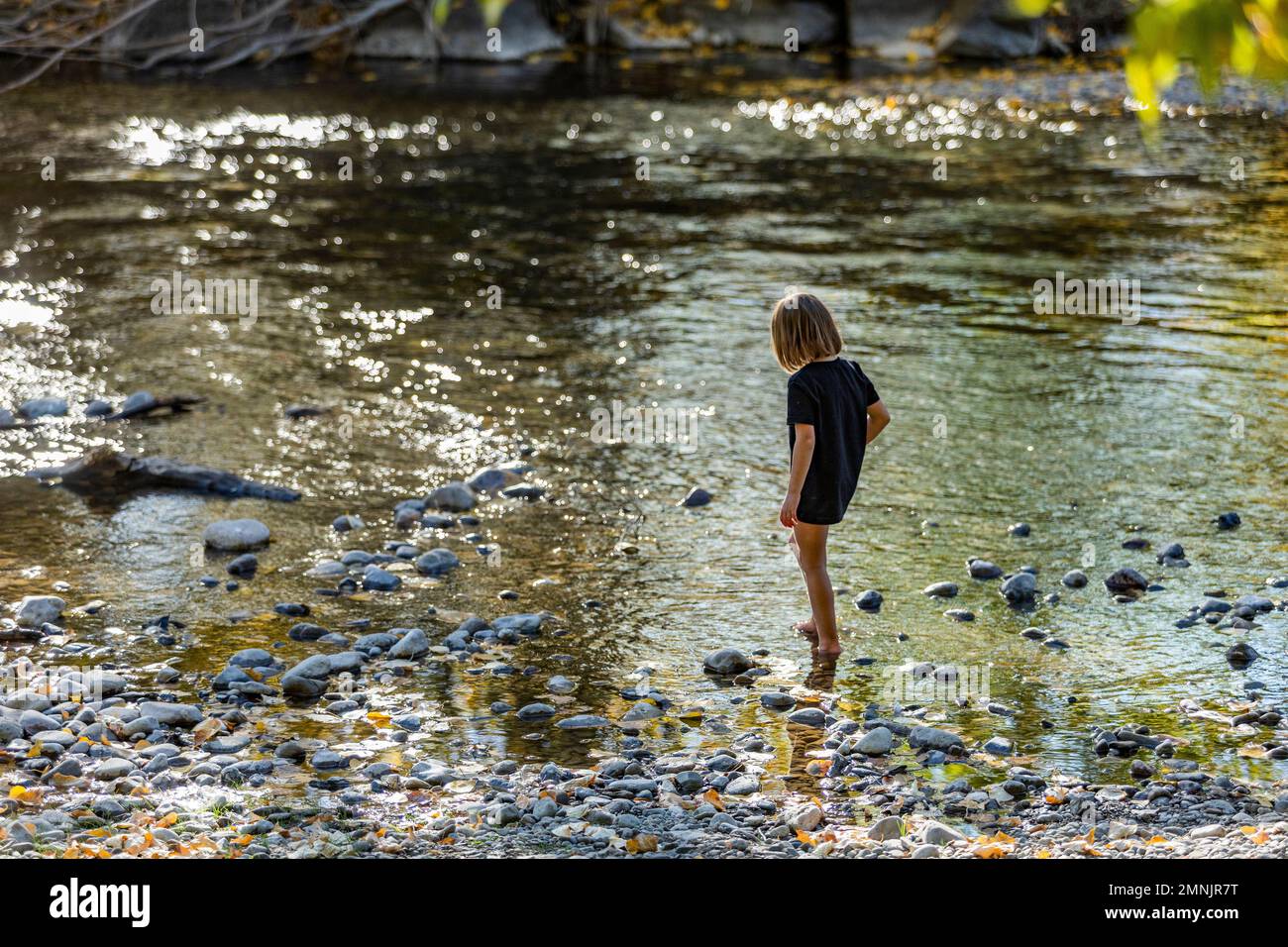 États-Unis, Idaho, Bellevue, Girl (6-7) exploration des échalotes de rivière en été Banque D'Images