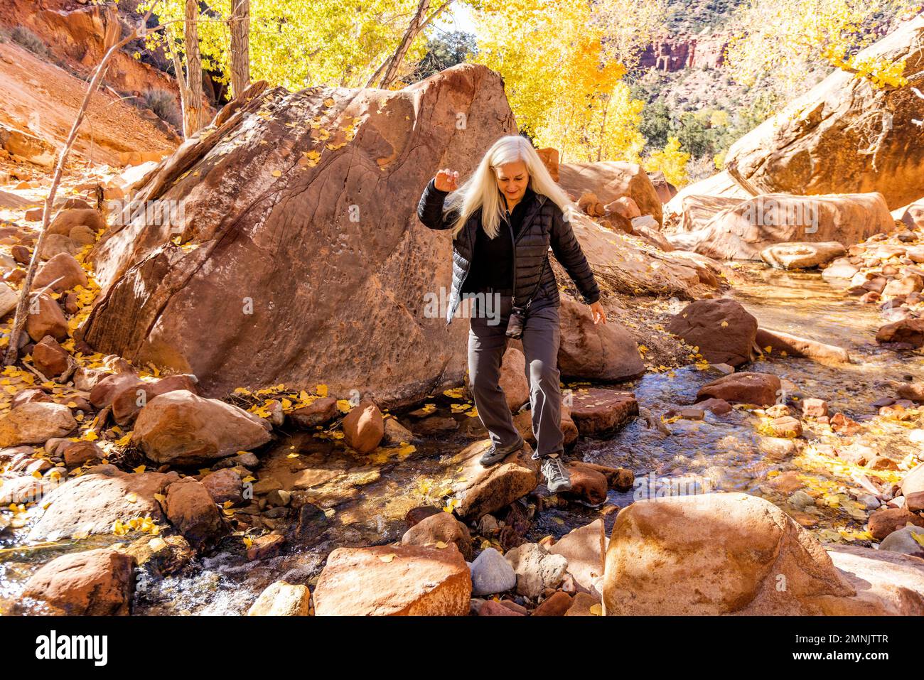 États-Unis, Utah, parc national de Zion, randonneur senior traversant creek Banque D'Images