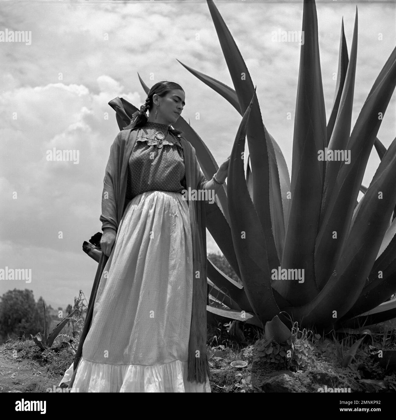 1937 , MEXIQUE : le célèbre peintre mexicain FRIDA KAHLO ( 1907 - 1954 ) . Photo de la photographe femme TONI FRISSELL ( 1907 - 1988 ). - HISTOIRE - FOTO STORICHE - ARTS - ARTE - PITTURA - PITTORE - PITTRICE - artiste - artista - portrait - ritratto - GAY - LGBTQ - orecchini d'oro - ardrops dorés - cammeo - camée - trecce - treccia - agave - agave - agaves - braïdes - MESSICO - DONNA FOTOGRAFA - PORTRAIT - RITRATTO --- NON POUR PUBBLICITARY UTILISATION     NON POUR LA PUBLICITÉ --- NON PAR USO PUBBLICITARIO --- ARCHIVIO GBB Banque D'Images