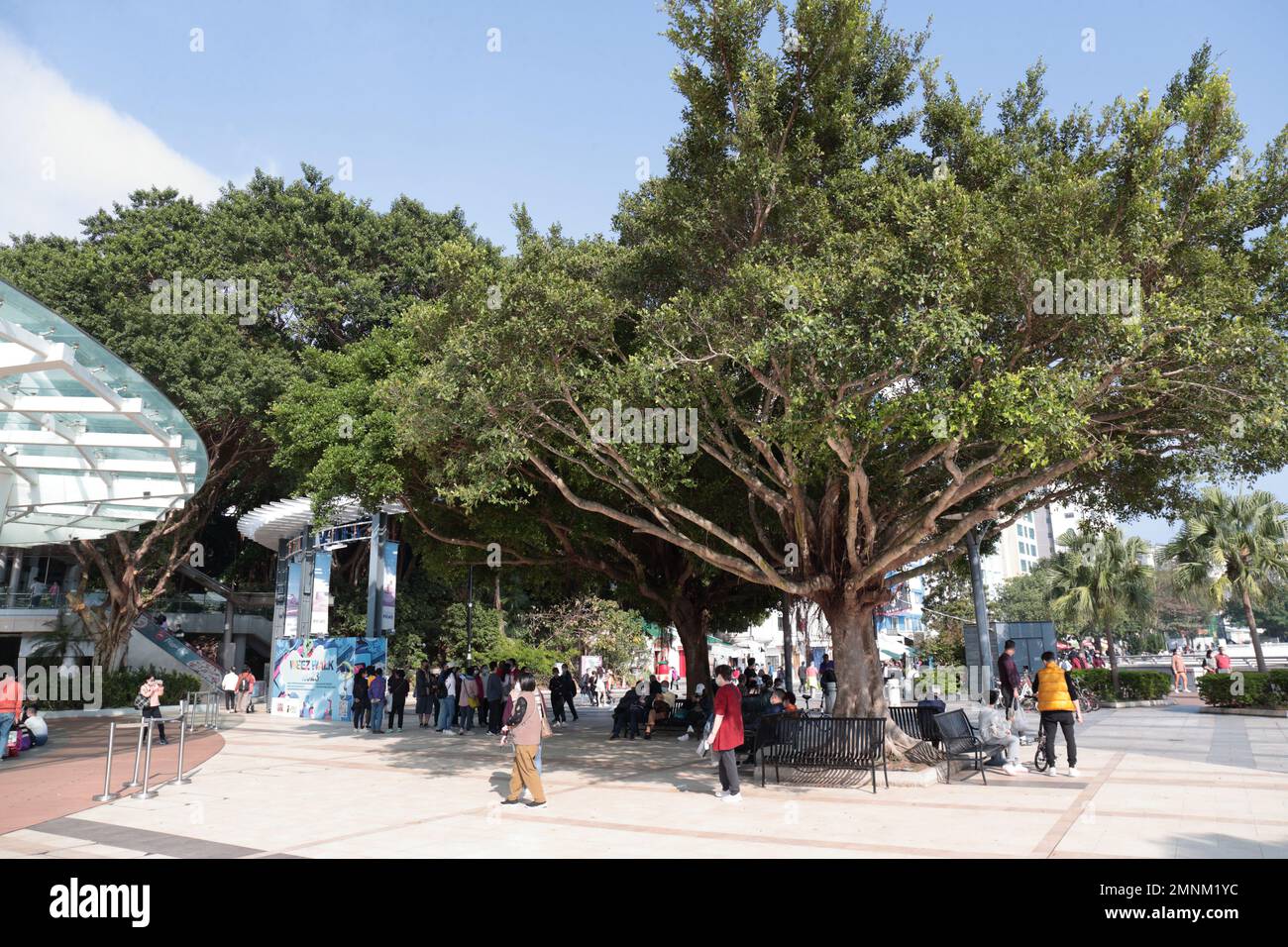 Vue sur Stanley Plaza, côté sud de l'île de Hong Kong 23 janvier 2023 Banque D'Images