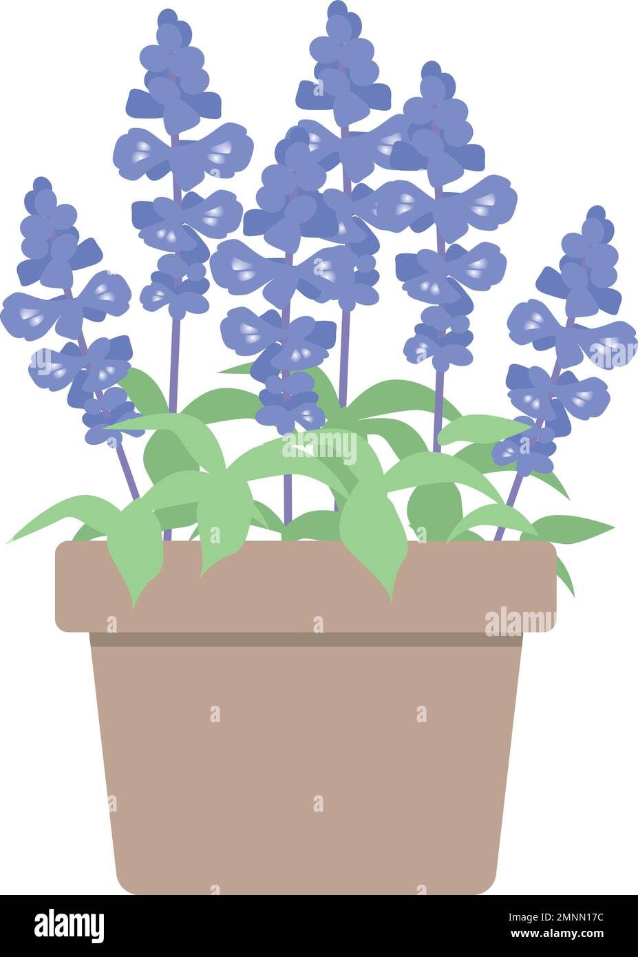 Pot de salvia bleu. Joli motif plat. Jolie fleur bleue. Illustration de Vecteur
