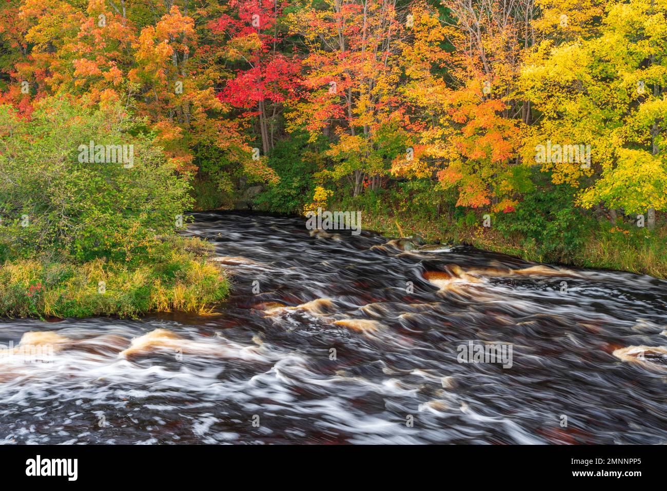 Rivière sable avec feuillage d'automne, Nouvelle-Écosse, Canada. Banque D'Images