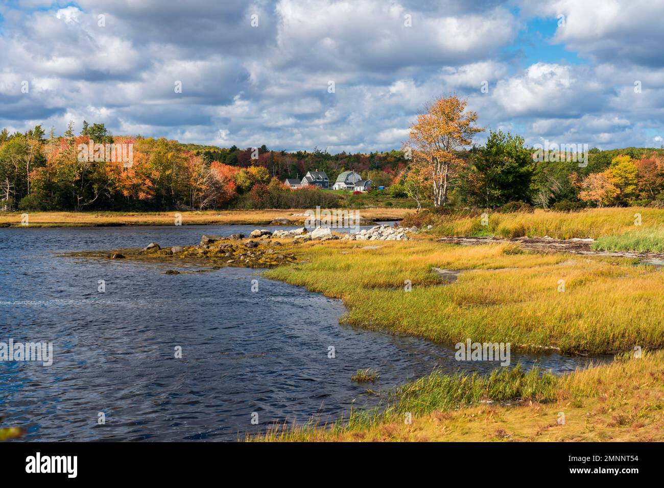 Couleur du feuillage d'automne dans le comté de sable, Nouvelle-Écosse, Canada. Banque D'Images
