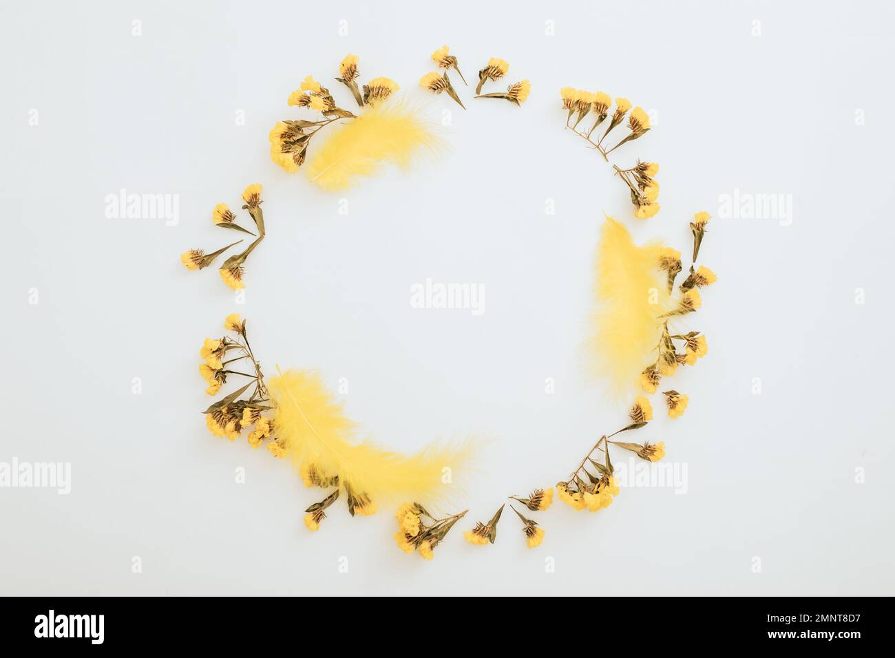Cadre fait d'oeufs et de fleurs jaunes sur fond blanc. Plan d'agencement, vue de dessus. Vacances de Pâques Banque D'Images