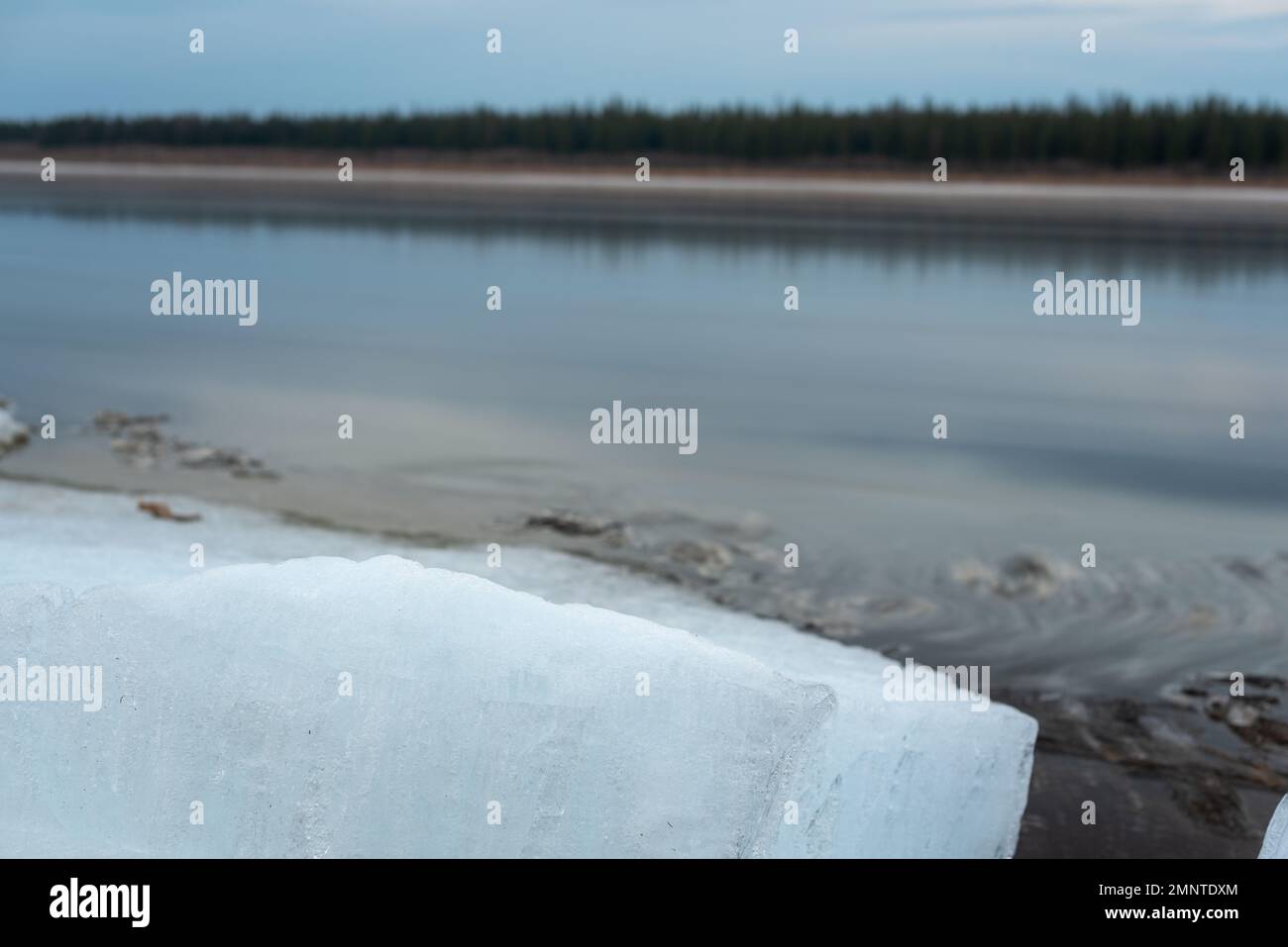 Une banquise se trouve sur les rives de la rivière Vilyui à Yakutia, sur fond d'arbres et de mouvement du courant d'eau. Dérive de glace. Longue exposition Banque D'Images