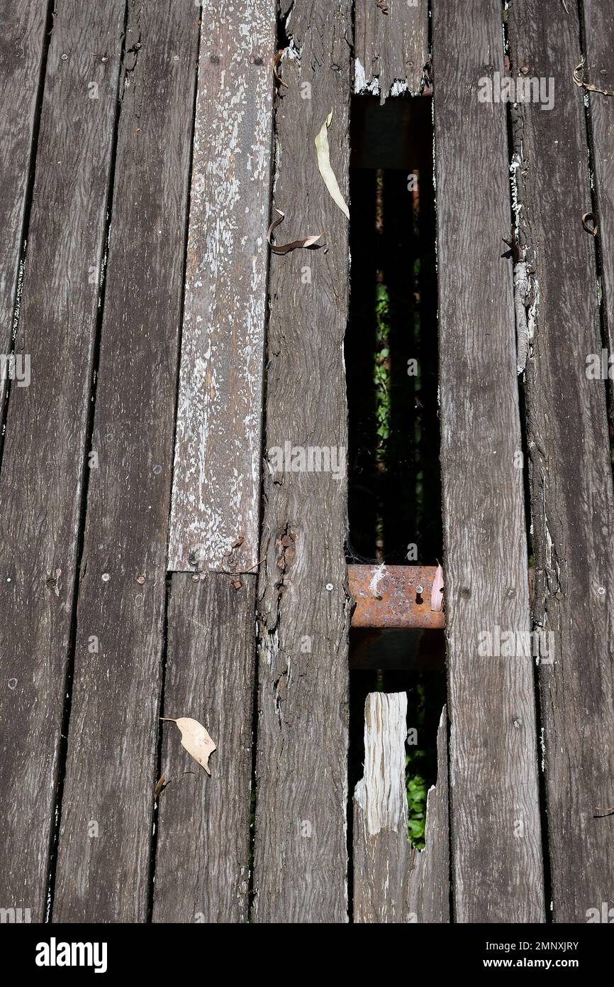 Planchers de terrasse en bois dangereux, pourris, non vernis, avec trous, espaces et feuilles sèches, dans un cadre extérieur Banque D'Images